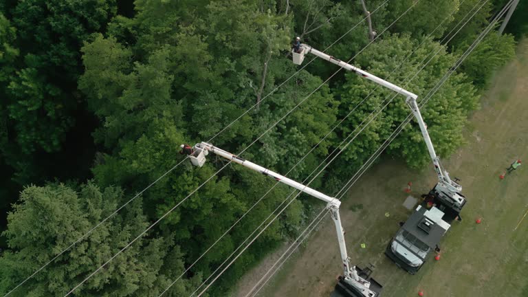 Best Arborist Consultation Services  in Pine Ridge, PA